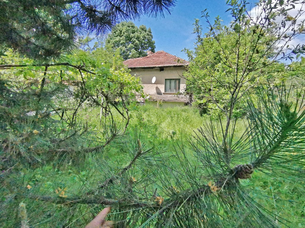 realestateinbulgaria.com rural bulgarian properties
