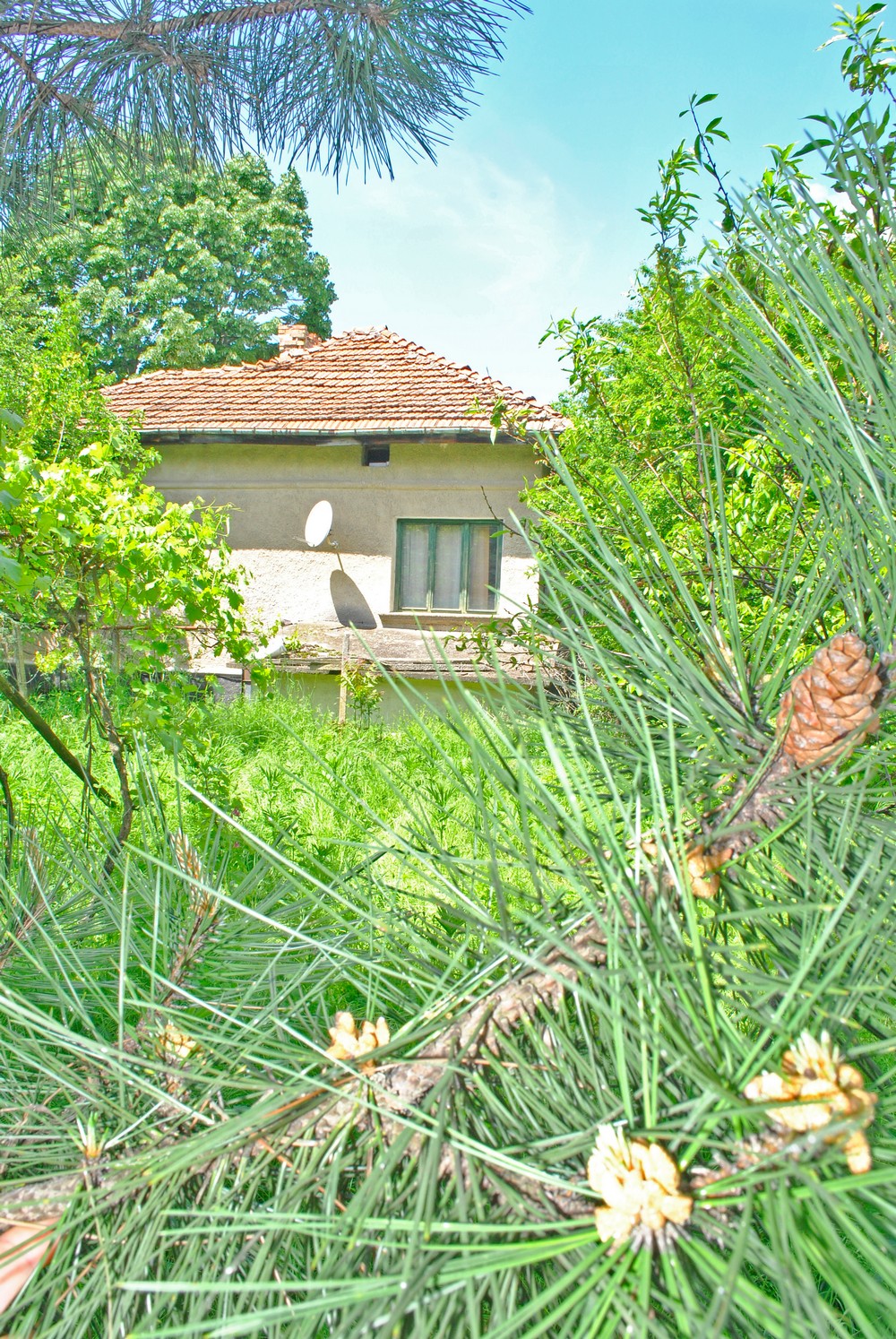 realestateinbulgaria.com rural bulgarian properties