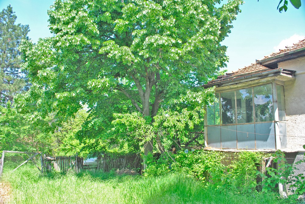 realestateinbulgaria.com rural bulgarian properties