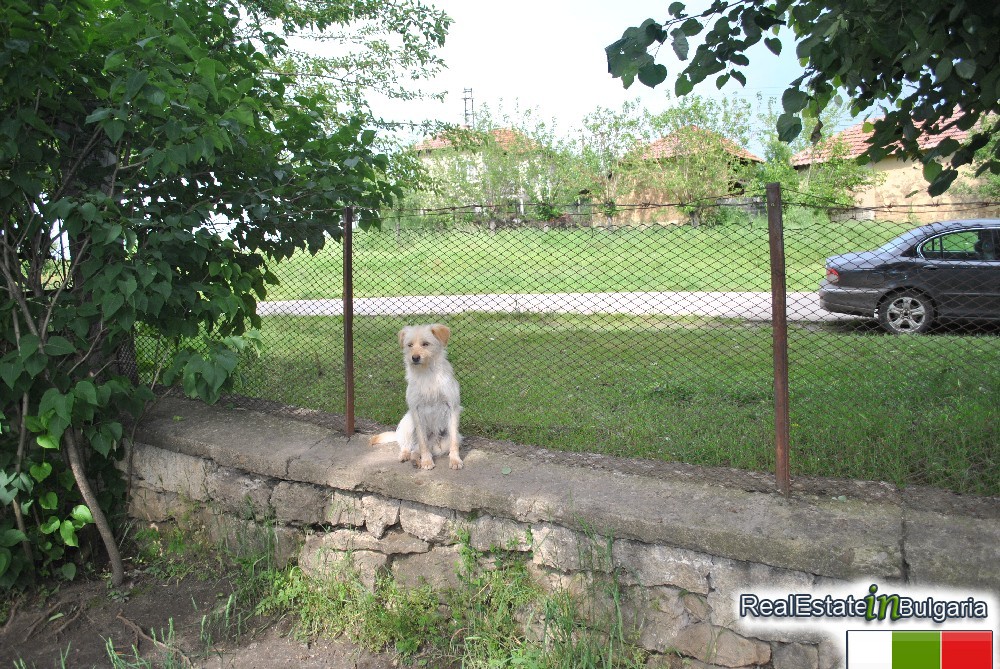 realestateinbulgaria