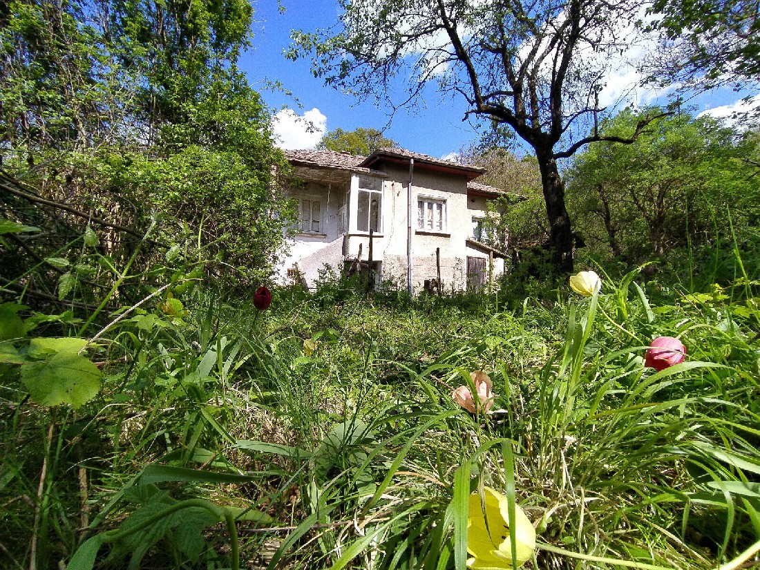 realestateinbulgaria