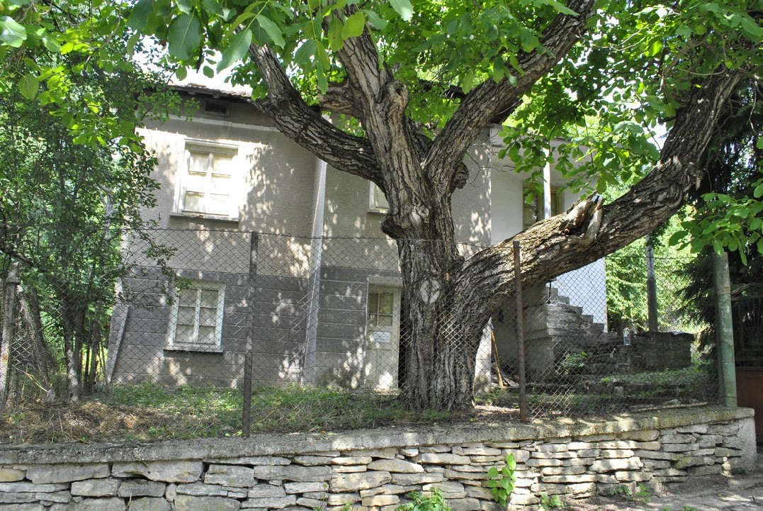 realestateinbulgaria