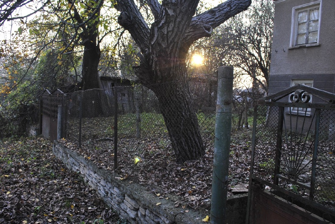 realestateinbulgaria