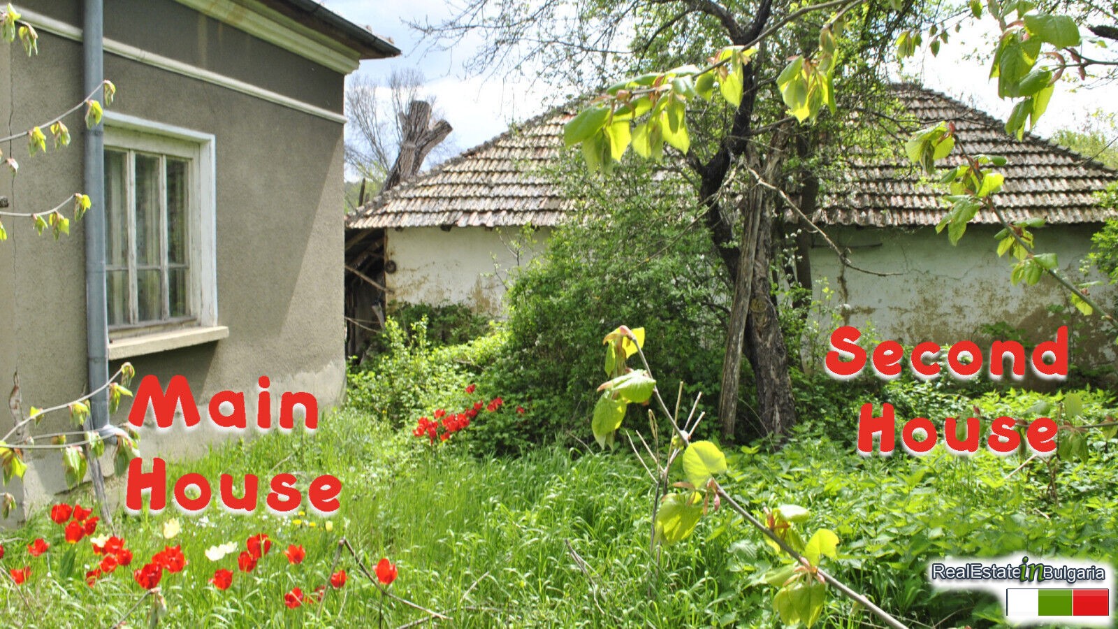 realestateinbulgaria