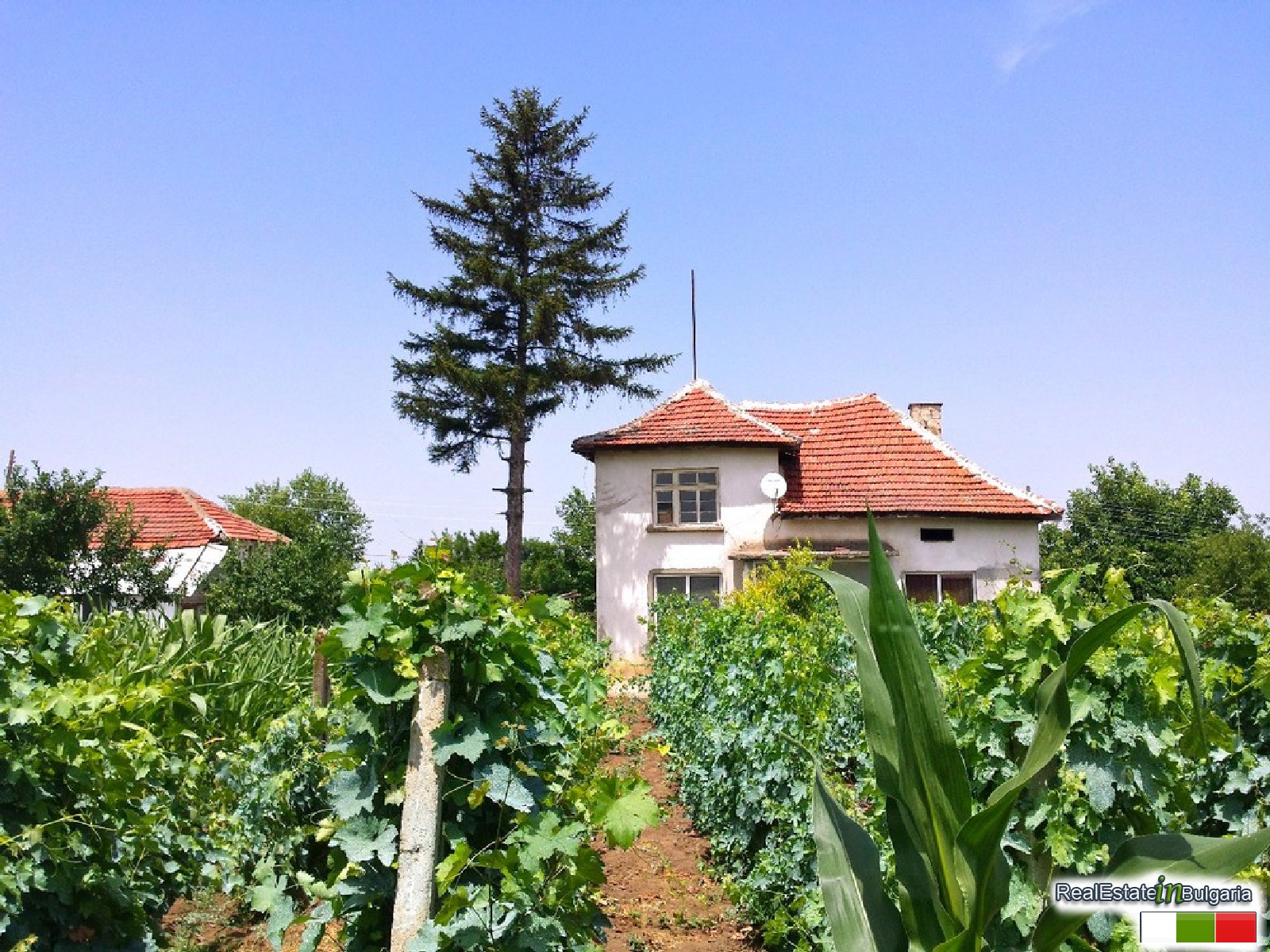 realestateinbulgaria.com rural bulgarian properties