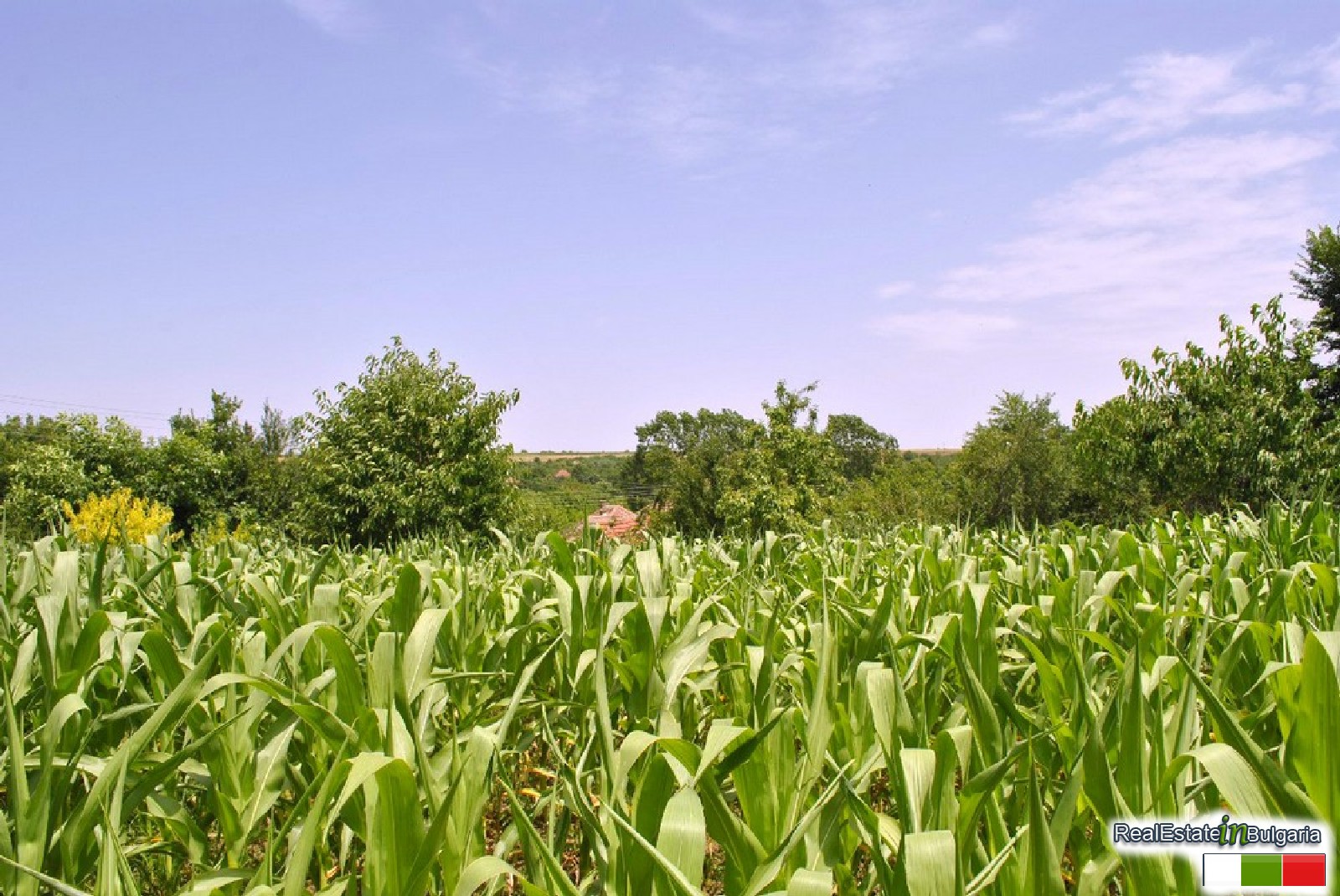 realestateinbulgaria.com rural bulgarian properties