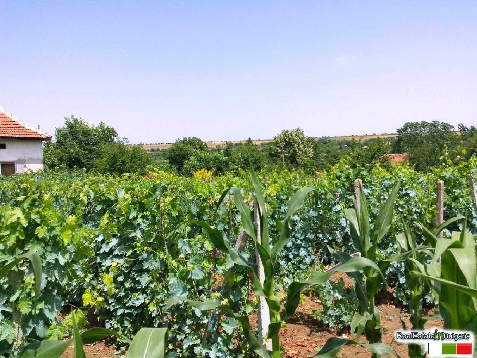 realestateinbulgaria.com rural bulgarian properties