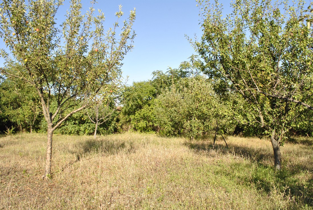 realestateinbulgaria