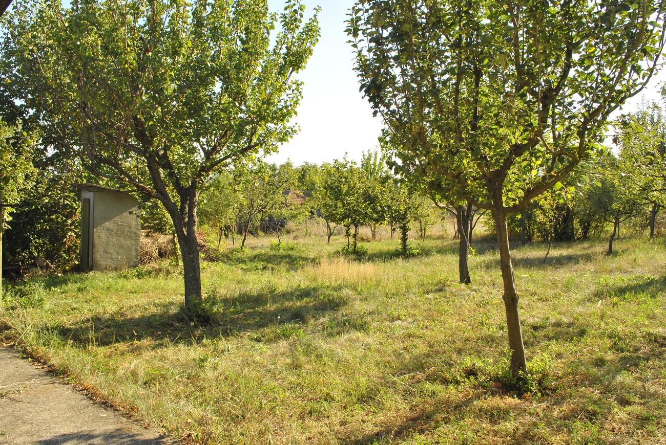 realestateinbulgaria