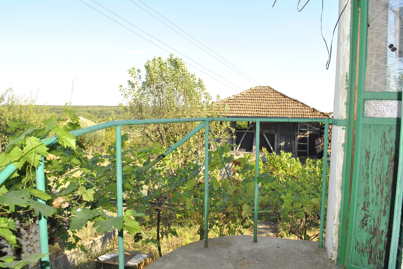 realestateinbulgaria