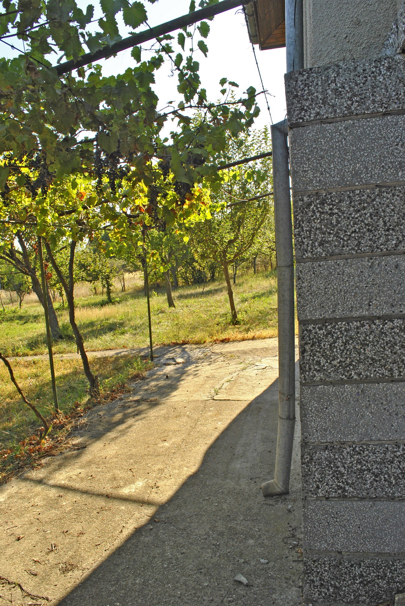 realestateinbulgaria