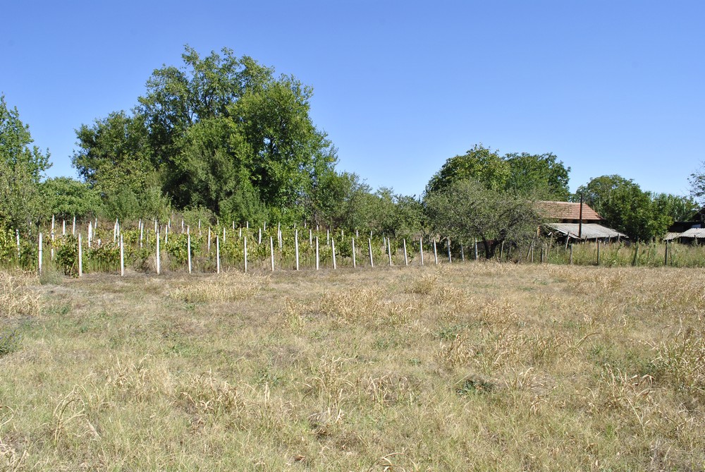 realestateinbulgaria