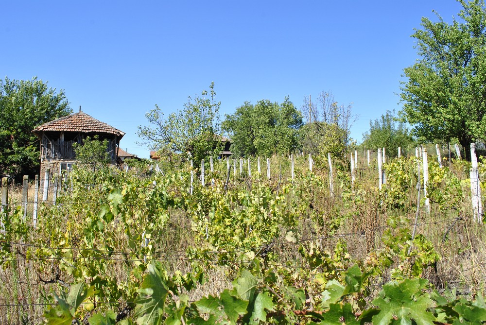realestateinbulgaria