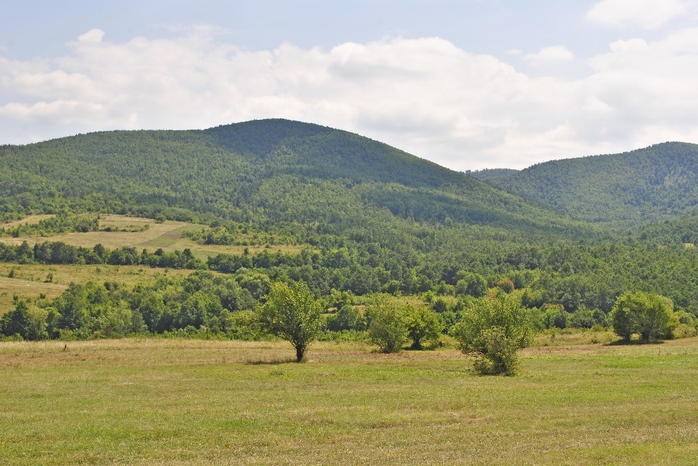 realestateinbulgaria