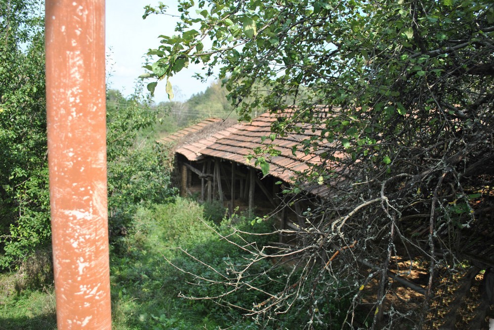 realestateinbulgaria
