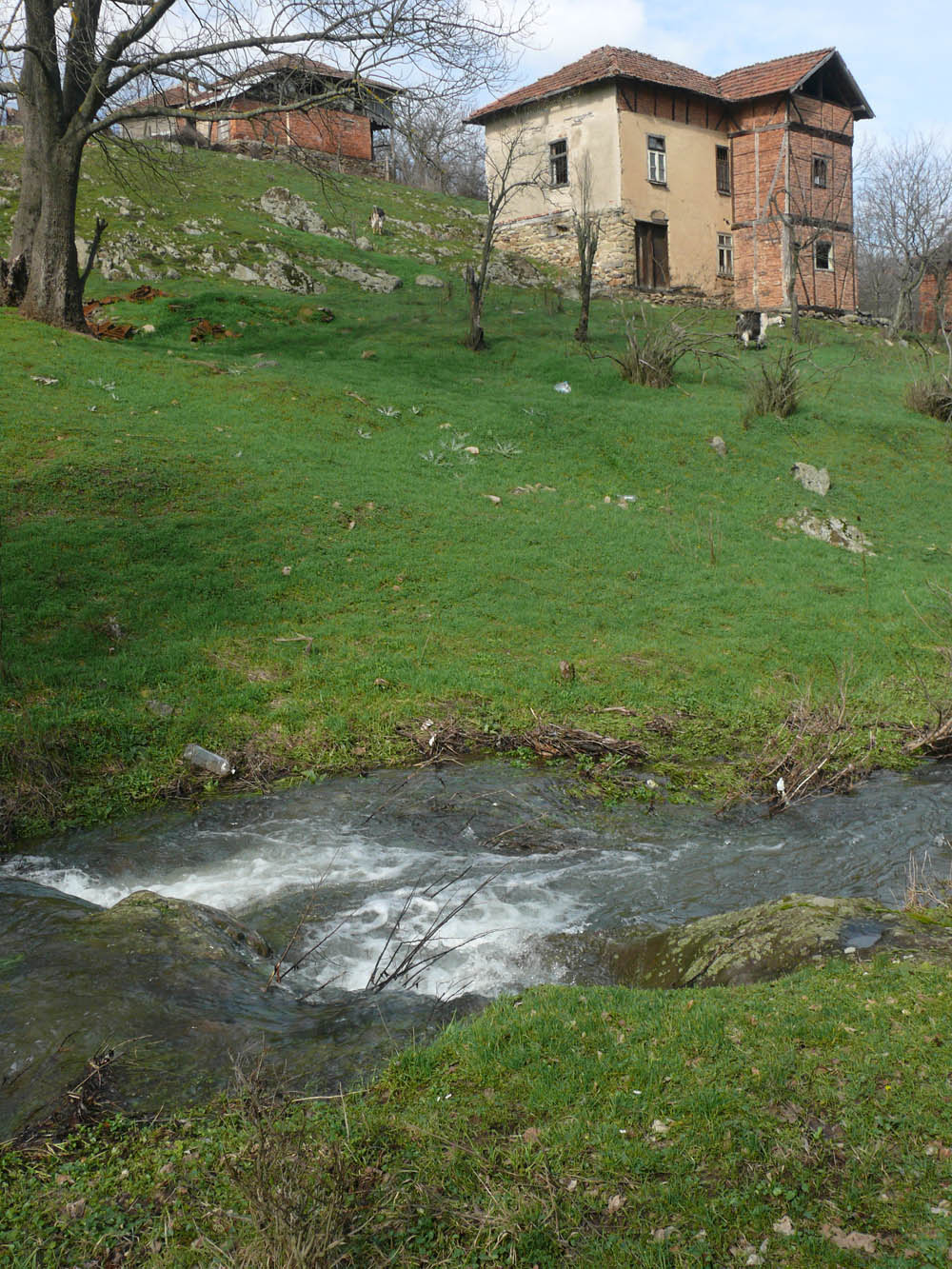 realestateinbulgaria.com rural bulgarian properties