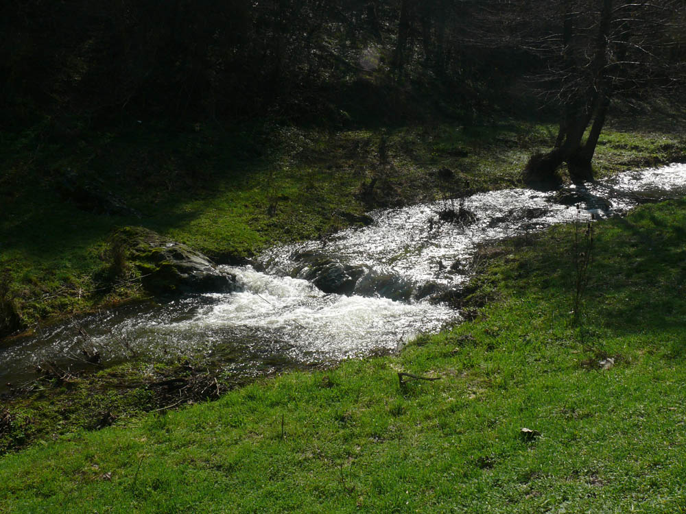 realestateinbulgaria.com rural bulgarian properties