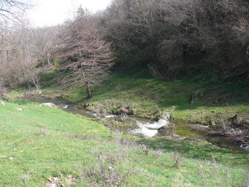 realestateinbulgaria.com rural bulgarian properties