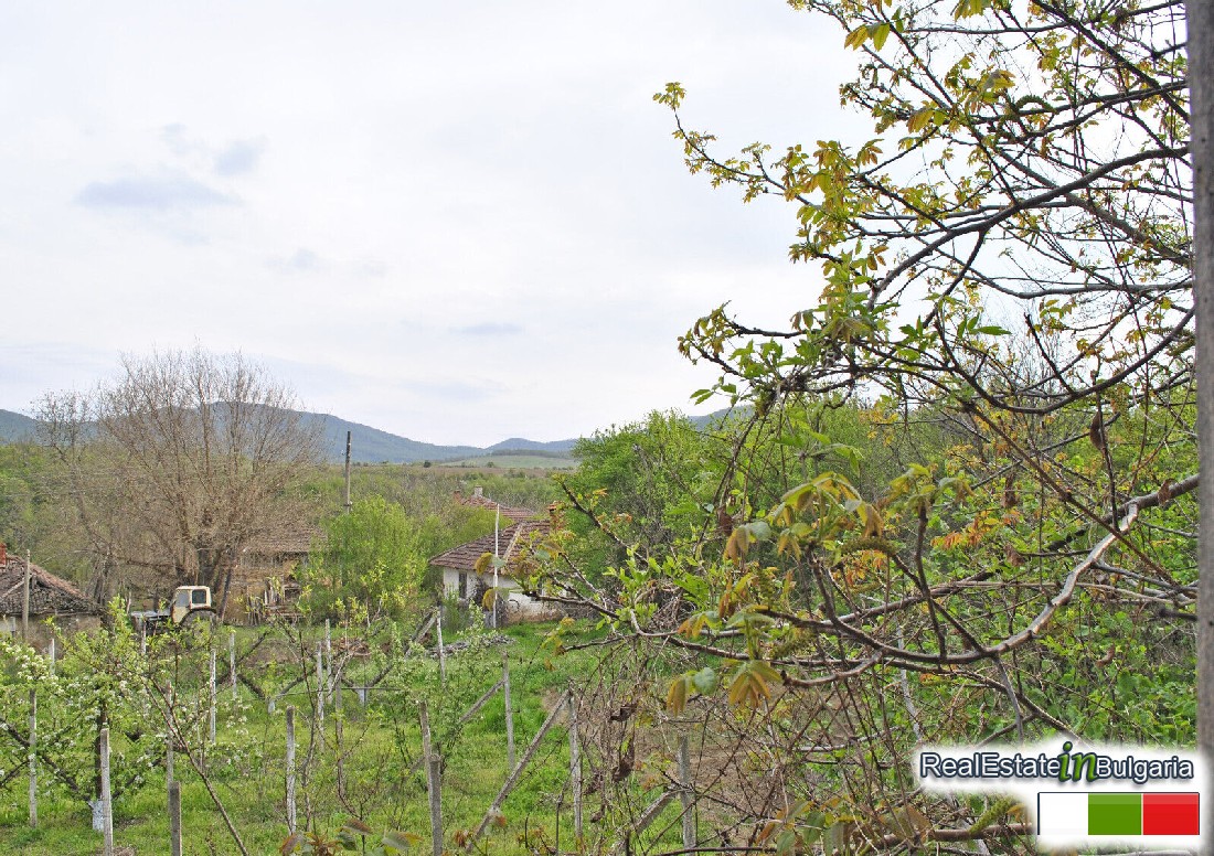 realestateinbulgaria